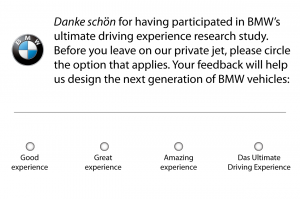 bmw-likert-scale