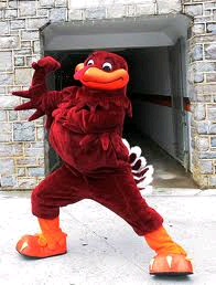 hokie